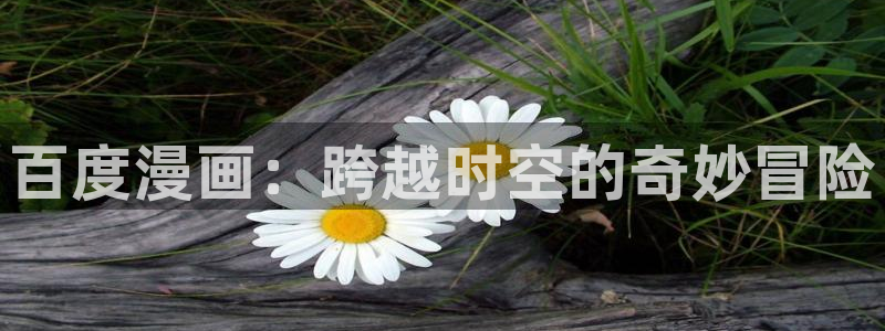 91漫画在线观看免费